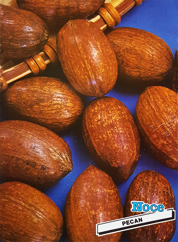 Noce Pecan - Vendita online 