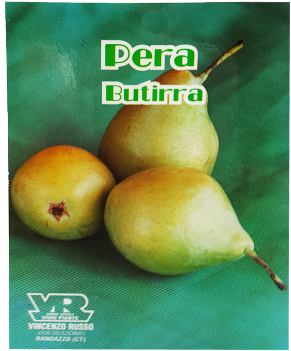 Pera Butirra