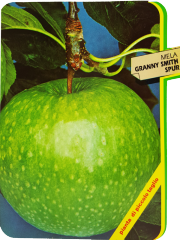 Mela Granny Smith Spur