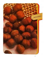 Nocciolo