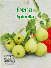 Pera Spinella